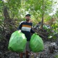 Intervención ambiental logra extraer decenas de bolsas de basura del manglar