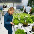CIFEm destaca el fortalecimiento del ecosistema agro-tecnológico con nuevo FabLab en la Universidad Tecnológica Oteima